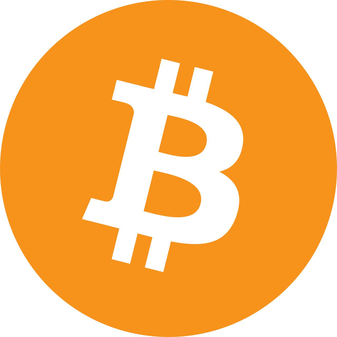 Bitcoin wallet logo