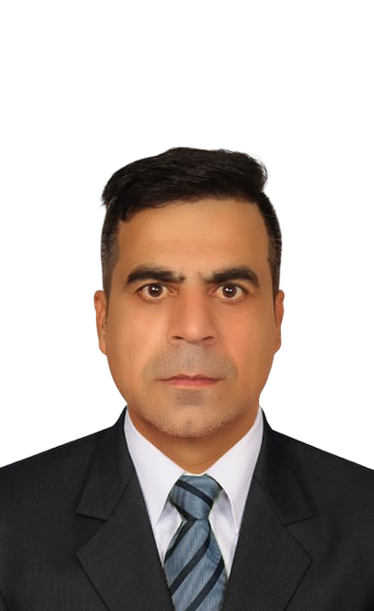 Vice President